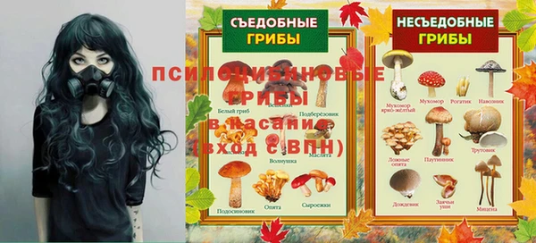 твердый Всеволожск