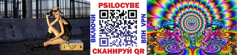 Псилоцибиновые грибы мицелий  Сергач 